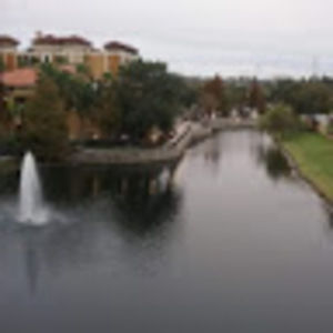 Meet your Posher, Darlene